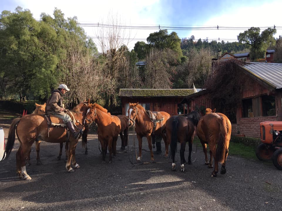 CABALGATAS ENRIQUE ABUELO