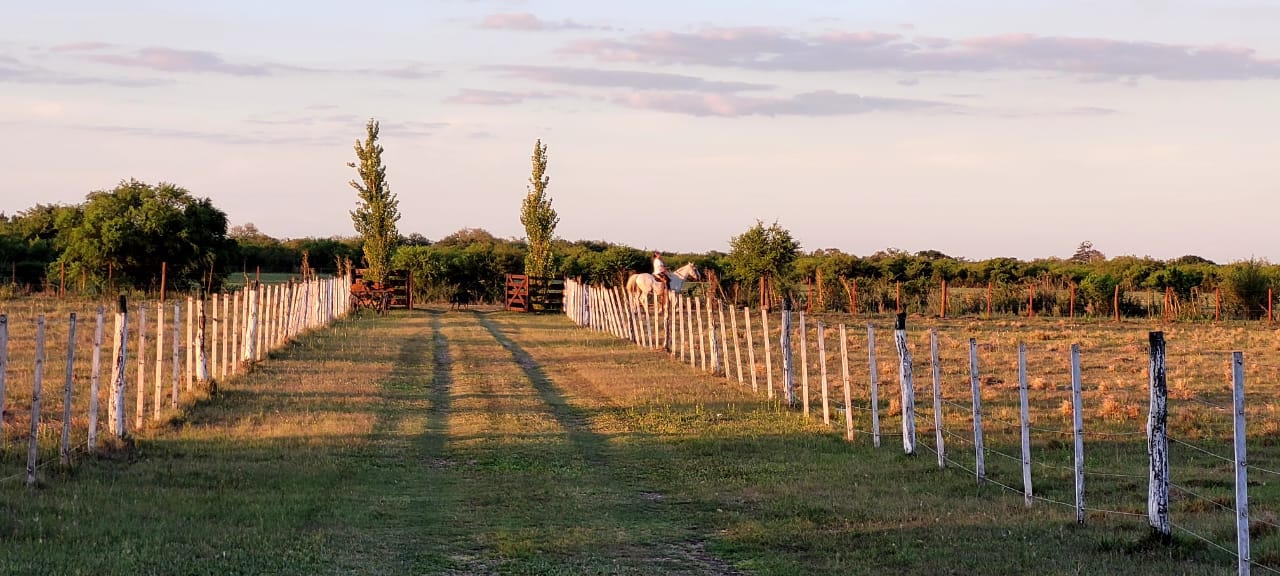 Cabañas La Montielita