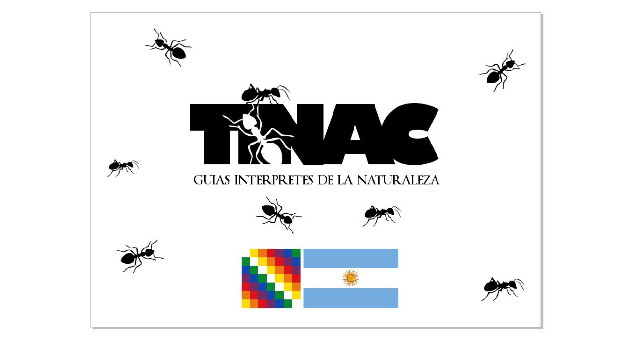 CABAÑAS LOS ARENALES