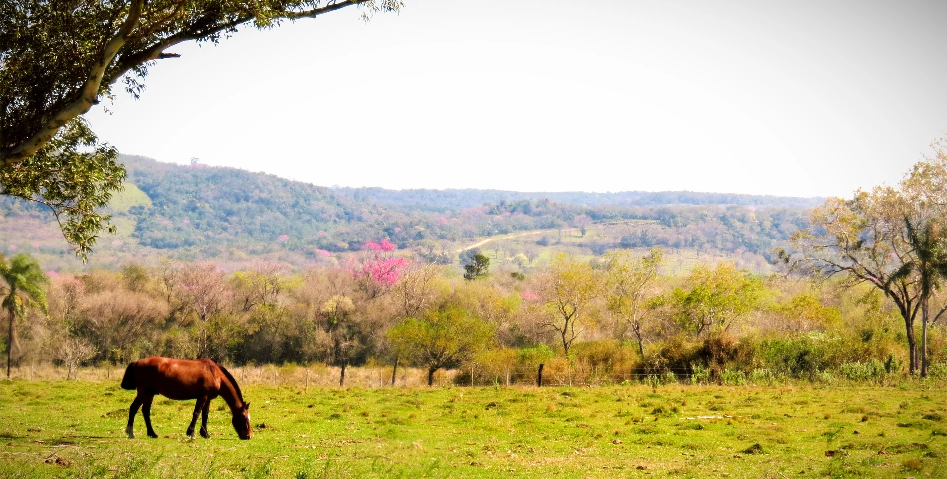 CAMINO DE LOS CERROS