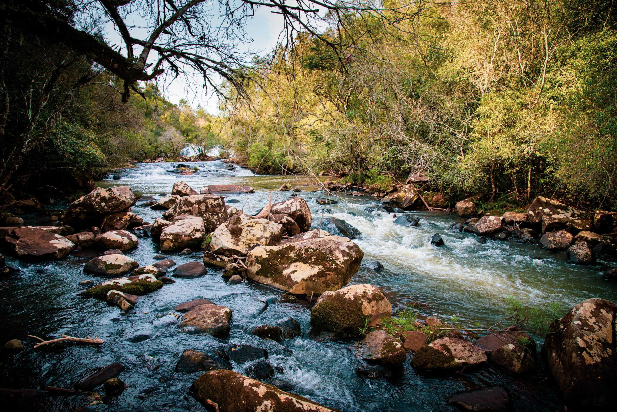 CAMPO RAMON EL PUEBLO QUE AMAMOS