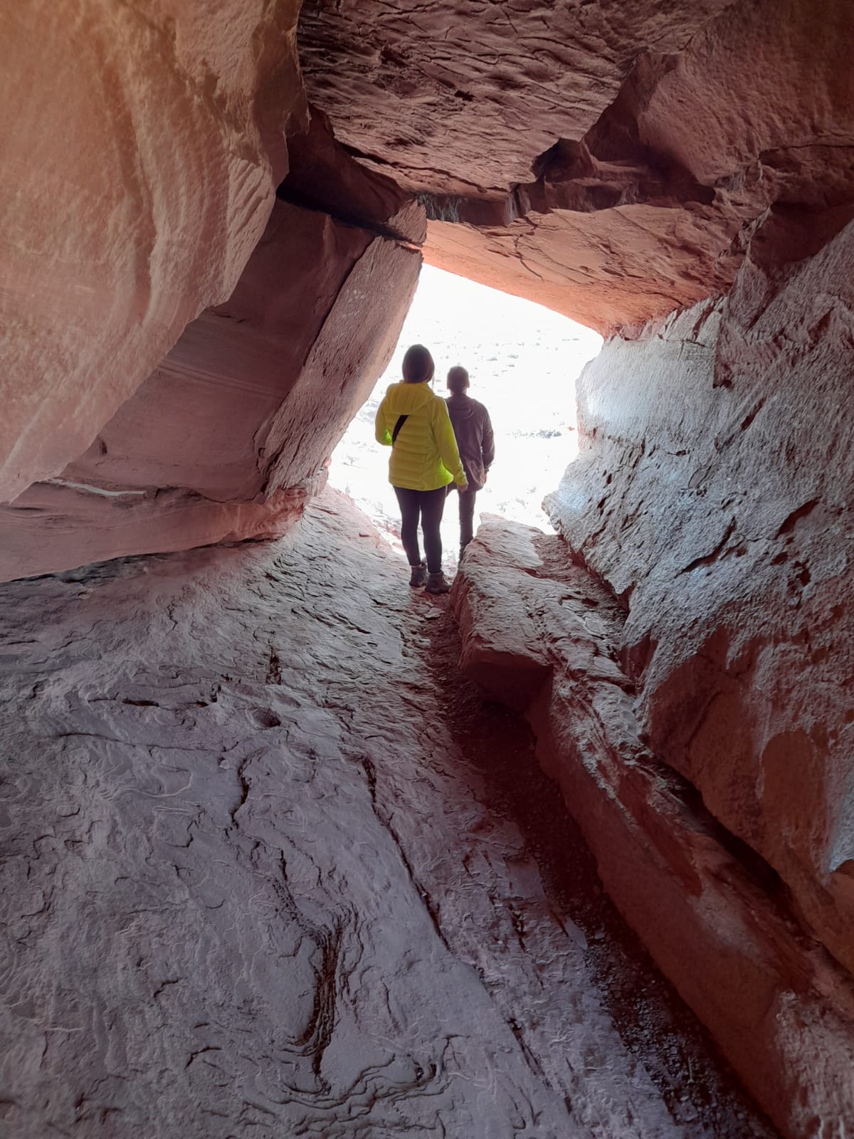 Cooperativa de Trabajo Runamayu